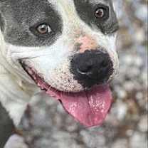 Thumbnail photo of Kody #3