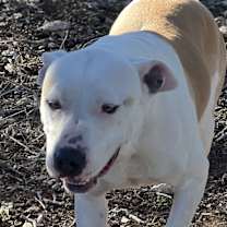 Thumbnail photo of Winki #3