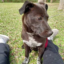 Thumbnail photo of Lady #1