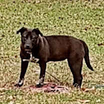 Thumbnail photo of Lady #2