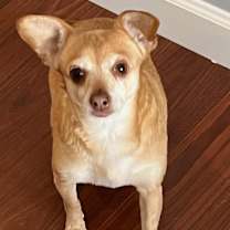 Thumbnail photo of Milley #2
