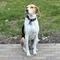 Thumbnail photo of Annie #4