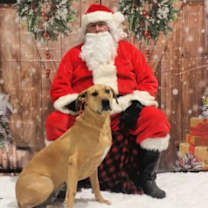 Thumbnail photo of Dolly #1