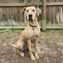 Thumbnail photo of Dolly #3