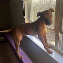 Thumbnail photo of June #3