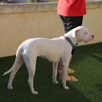 Thumbnail photo of SUPER*NOVA #2