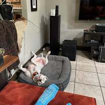 Thumbnail photo of SUPER*NOVA #3