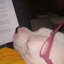 Thumbnail photo of SUPER*NOVA #4