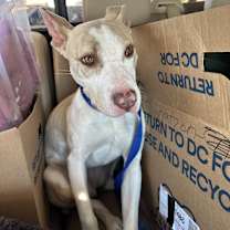 Thumbnail photo of Penny #1