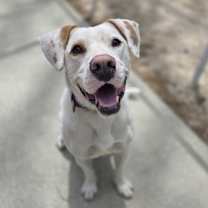 Thumbnail photo of Micah - 24033 #3