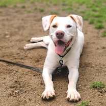 Thumbnail photo of Micah - 24033 #4