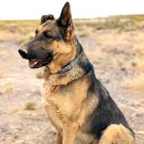 Thumbnail photo of Aleah #1