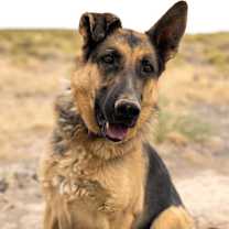 Thumbnail photo of Aleah #2