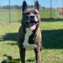 Thumbnail photo of Makoto #1