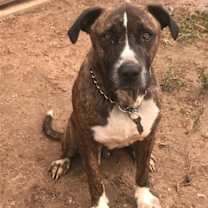 Thumbnail photo of Jake #1