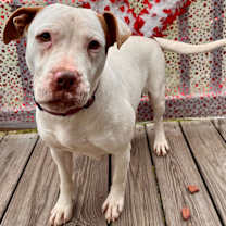 Thumbnail photo of Sasha #1