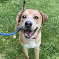 Thumbnail photo of Snickers #2