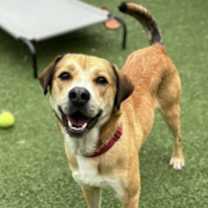 Thumbnail photo of Snickers #3