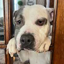 Thumbnail photo of Zaila #2