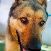 Thumbnail photo of JR #4