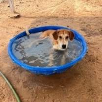 Thumbnail photo of Crocs #1