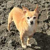 Thumbnail photo of Mr Bear #3