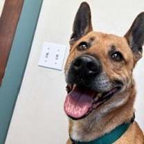 Thumbnail photo of Archer #1