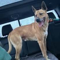 Thumbnail photo of Archer #2