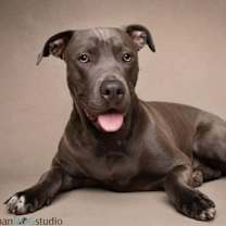 Thumbnail photo of Madison - F #2