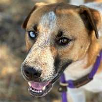 Thumbnail photo of Nico #2