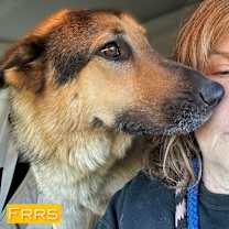 Thumbnail photo of RuRu #3