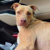 Thumbnail photo of DOUG #1