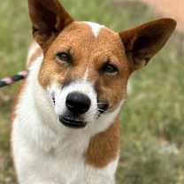 Thumbnail photo of Lolo and Casey #4