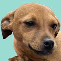 Thumbnail photo of Griselda #2