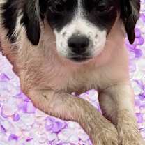 Thumbnail photo of Nieves #1