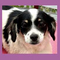 Thumbnail photo of Nieves #3