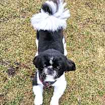 Thumbnail photo of Spaulding #4