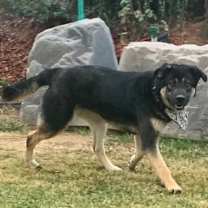 Thumbnail photo of Gary #1