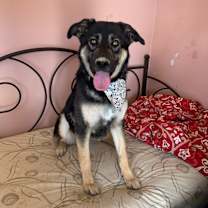 Thumbnail photo of Gary #2