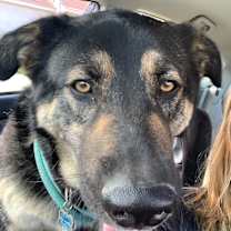 Thumbnail photo of Gary #3