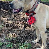 Thumbnail photo of BeBe #2