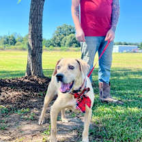 Thumbnail photo of BeBe #3