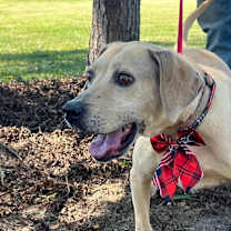 Thumbnail photo of BeBe #4