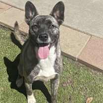 Thumbnail photo of Spice #1