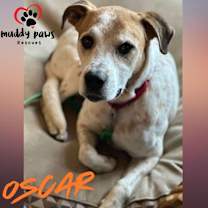 Thumbnail photo of Oscar #3