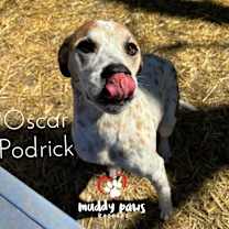 Thumbnail photo of Oscar #4