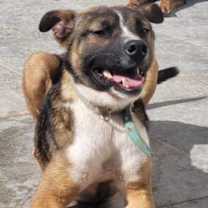 Thumbnail photo of Shakira #4