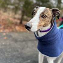 Thumbnail photo of Charlie #1