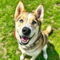 Thumbnail photo of Hanna #1