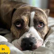 Thumbnail photo of Barkley #1